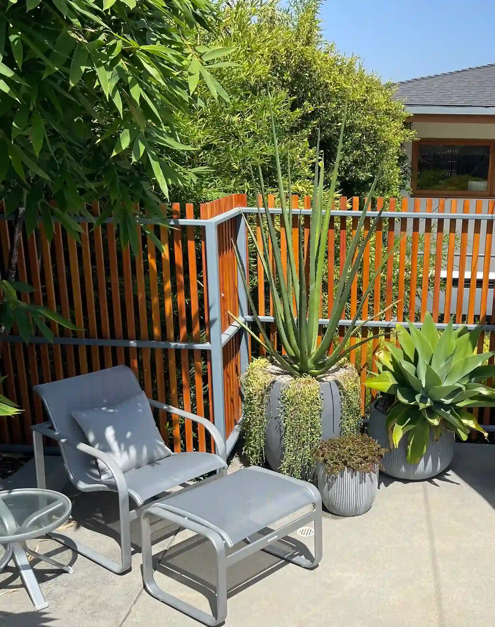 outdoor chair and plants